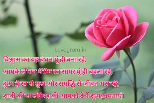  Marriage anniversary wishes in hindi language