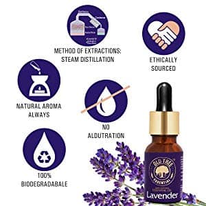Old Tree Lavender Essential Oils